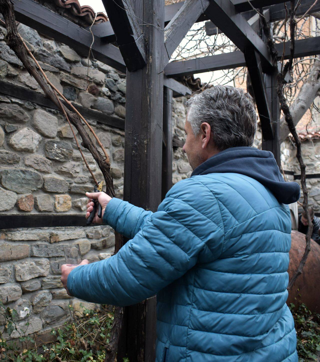 Директорът на Историческия музей в града Иван Дуков заряза ритуално лозата в двора